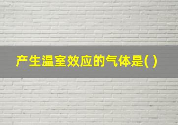 产生温室效应的气体是( )